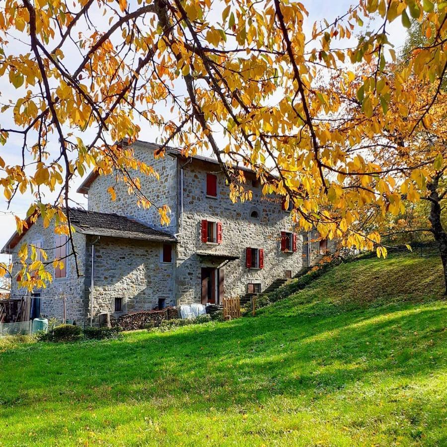 Ca Gennara Agri B&B Порета Терме Екстериор снимка
