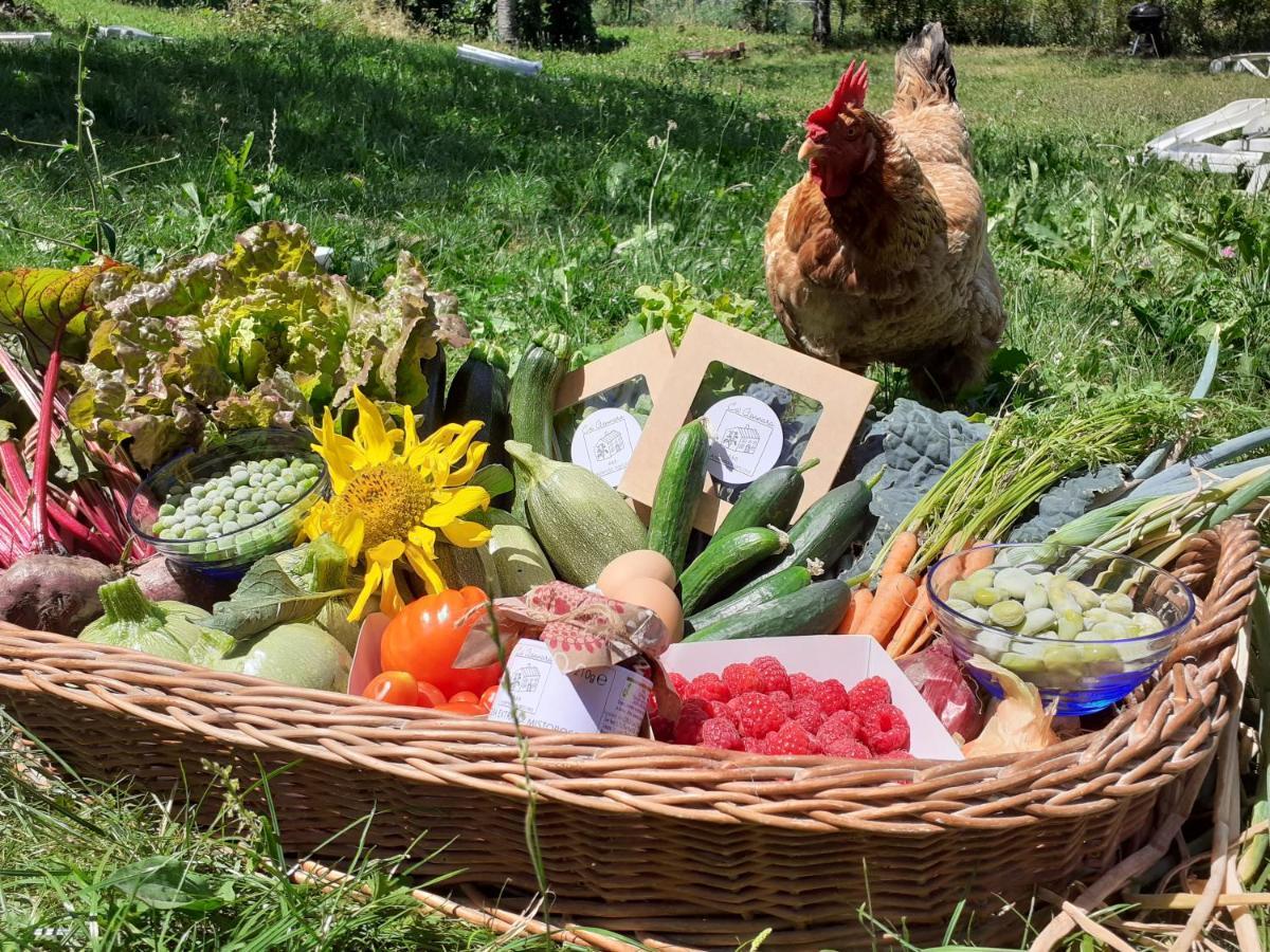 Ca Gennara Agri B&B Порета Терме Екстериор снимка