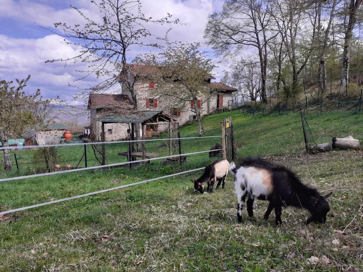 Ca Gennara Agri B&B Порета Терме Екстериор снимка