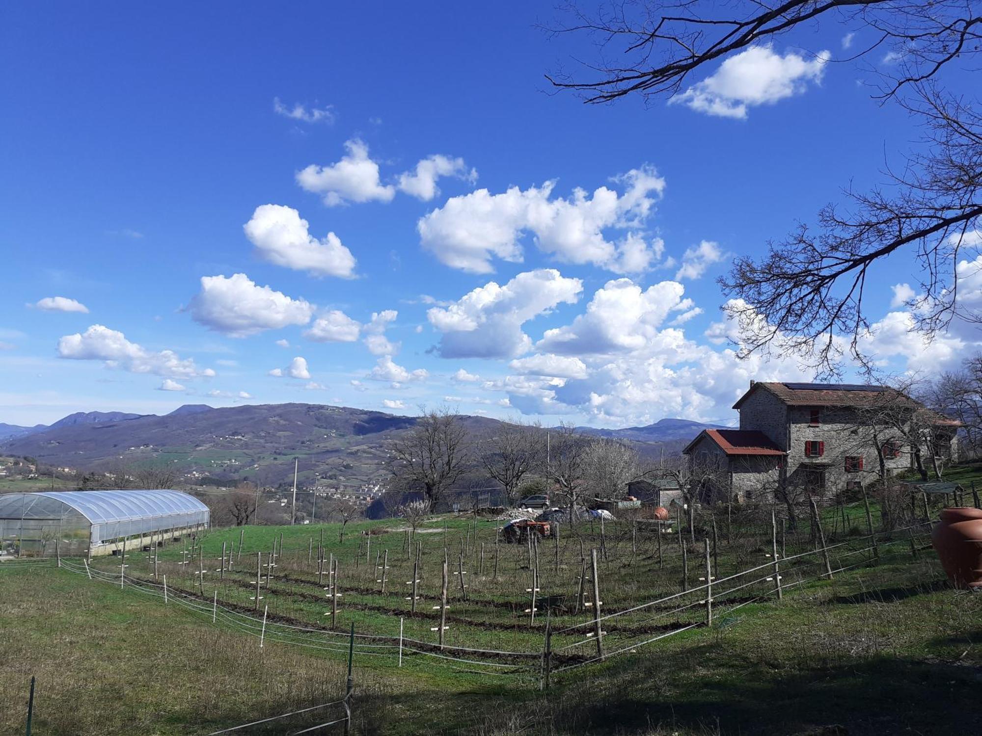 Ca Gennara Agri B&B Порета Терме Екстериор снимка